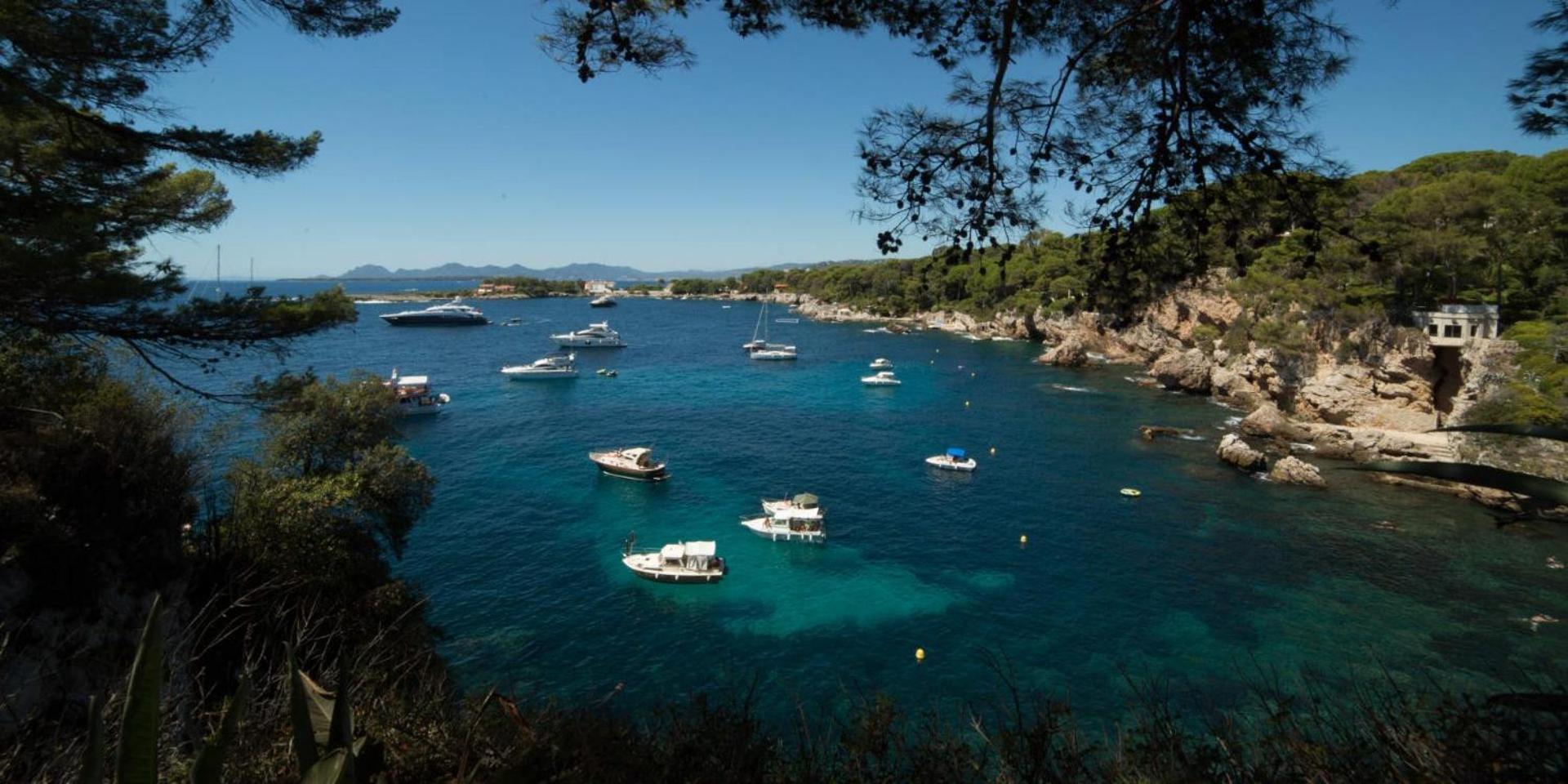 Agreable Detente Au Soleil A Antibes - Wifi - Parking Prive エクステリア 写真